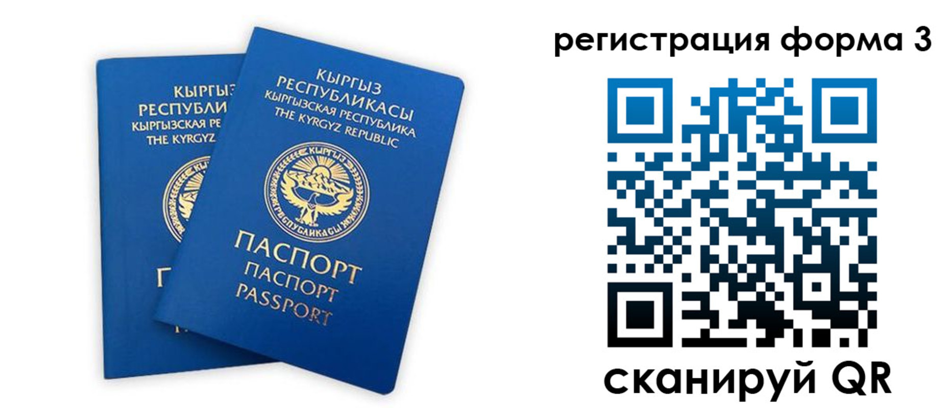 временная регистрация госуслуги в Торжоке